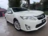 Toyota Camry, 2014-4