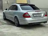 Mercedes-Benz E class, 2008-6