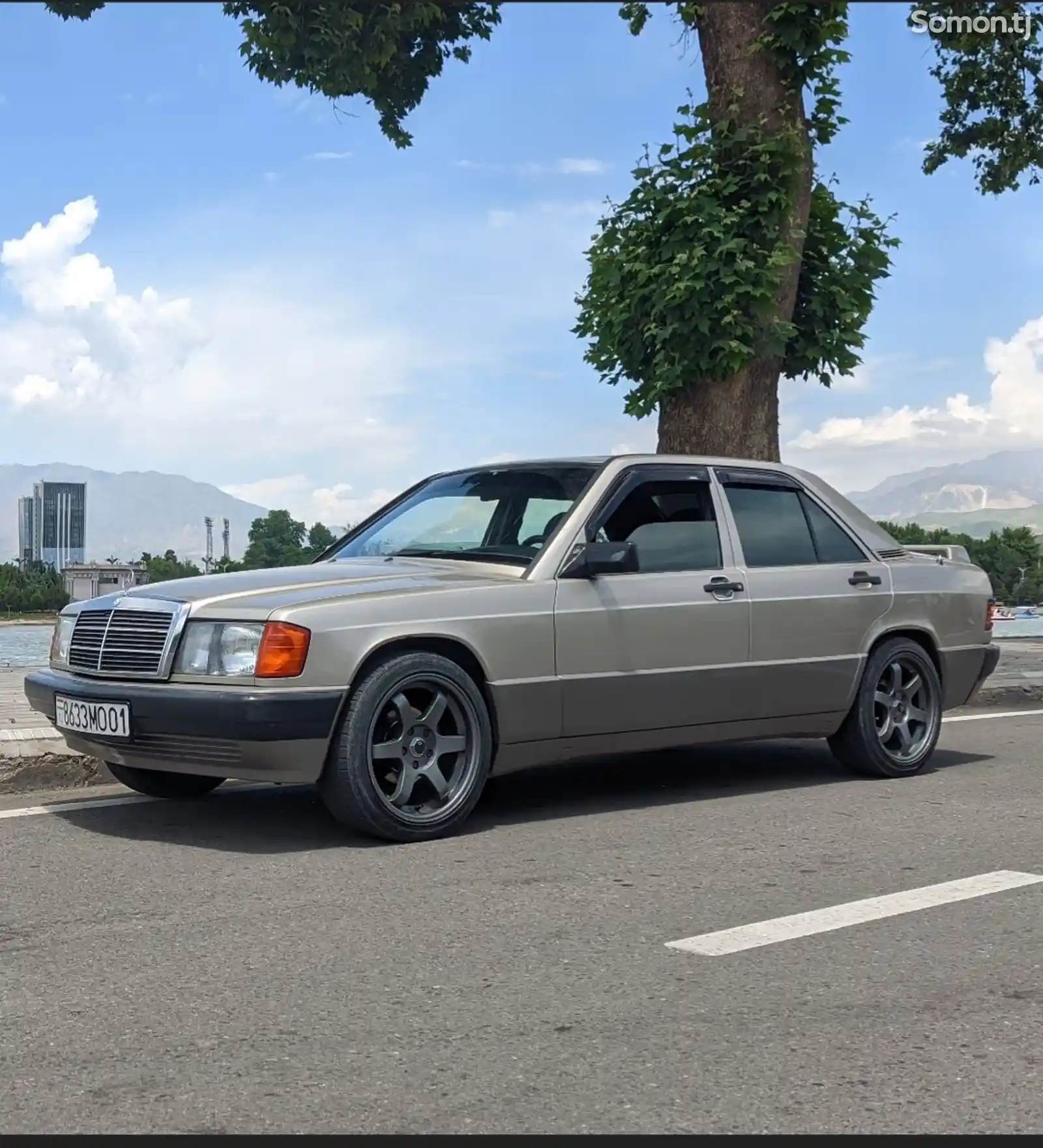 Mercedes-Benz W201, 1993-5