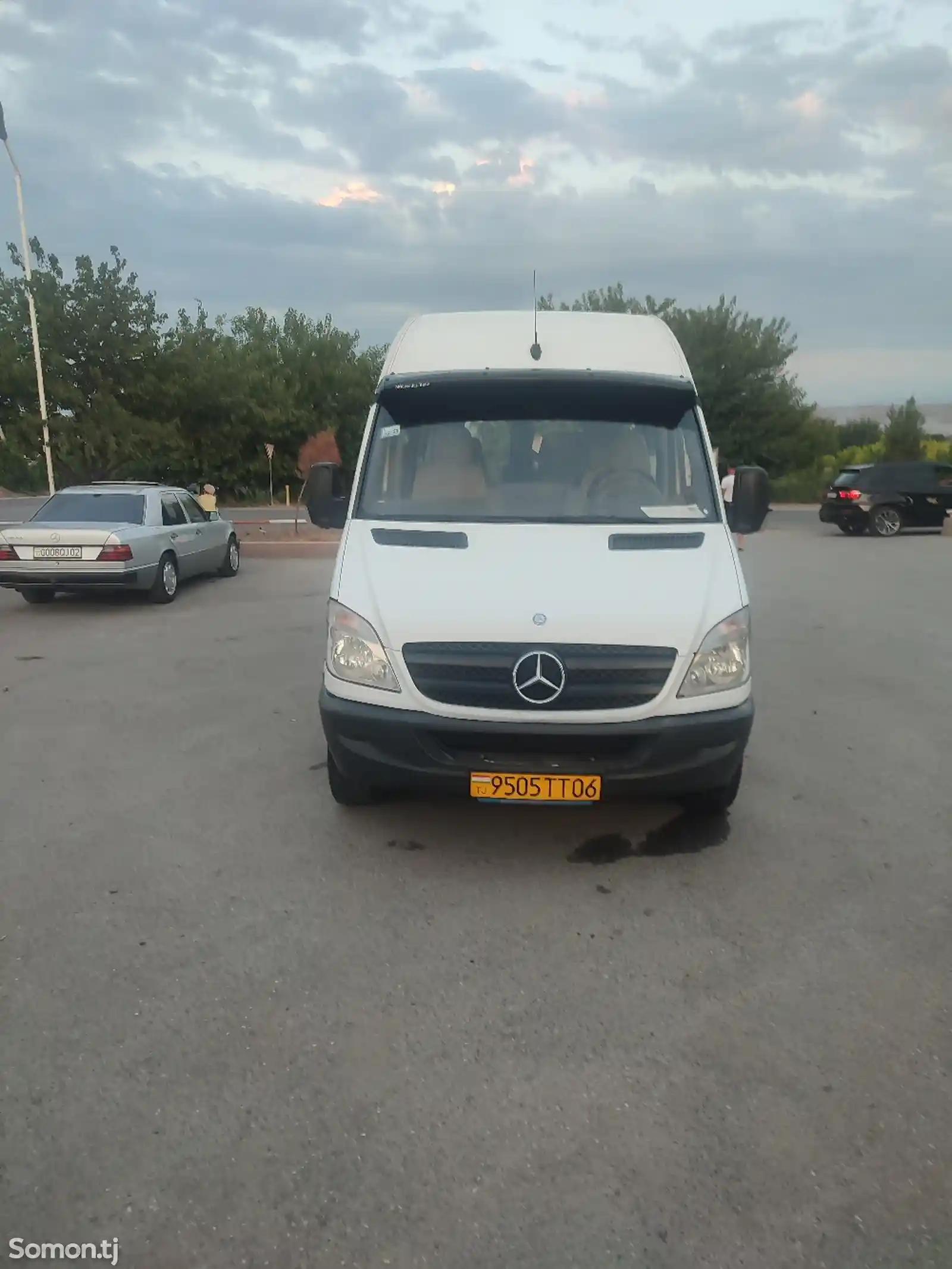 Микроавтобус Mercedes-Benz sprinter, 2009-1