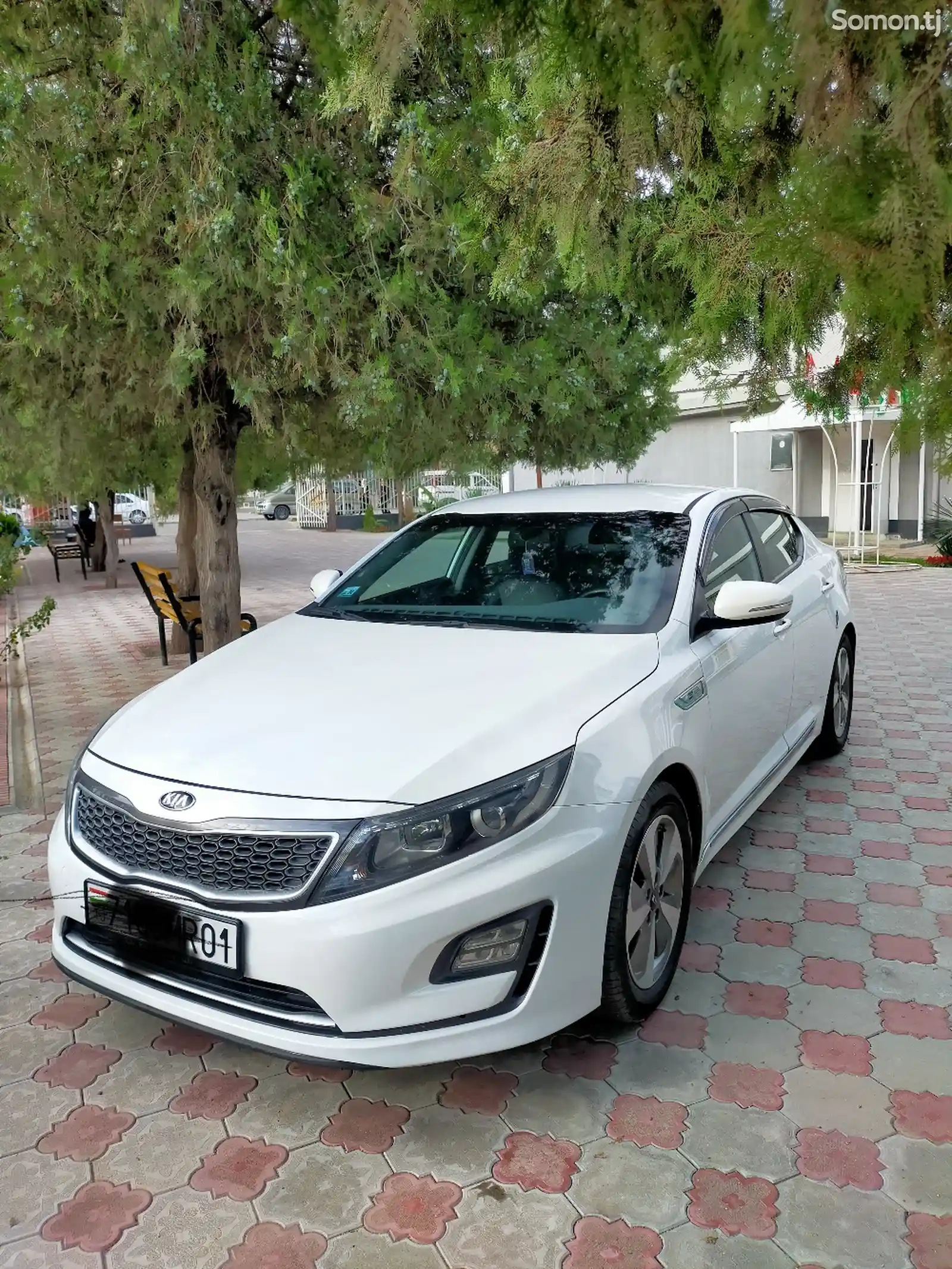 Kia K series, 2015-1