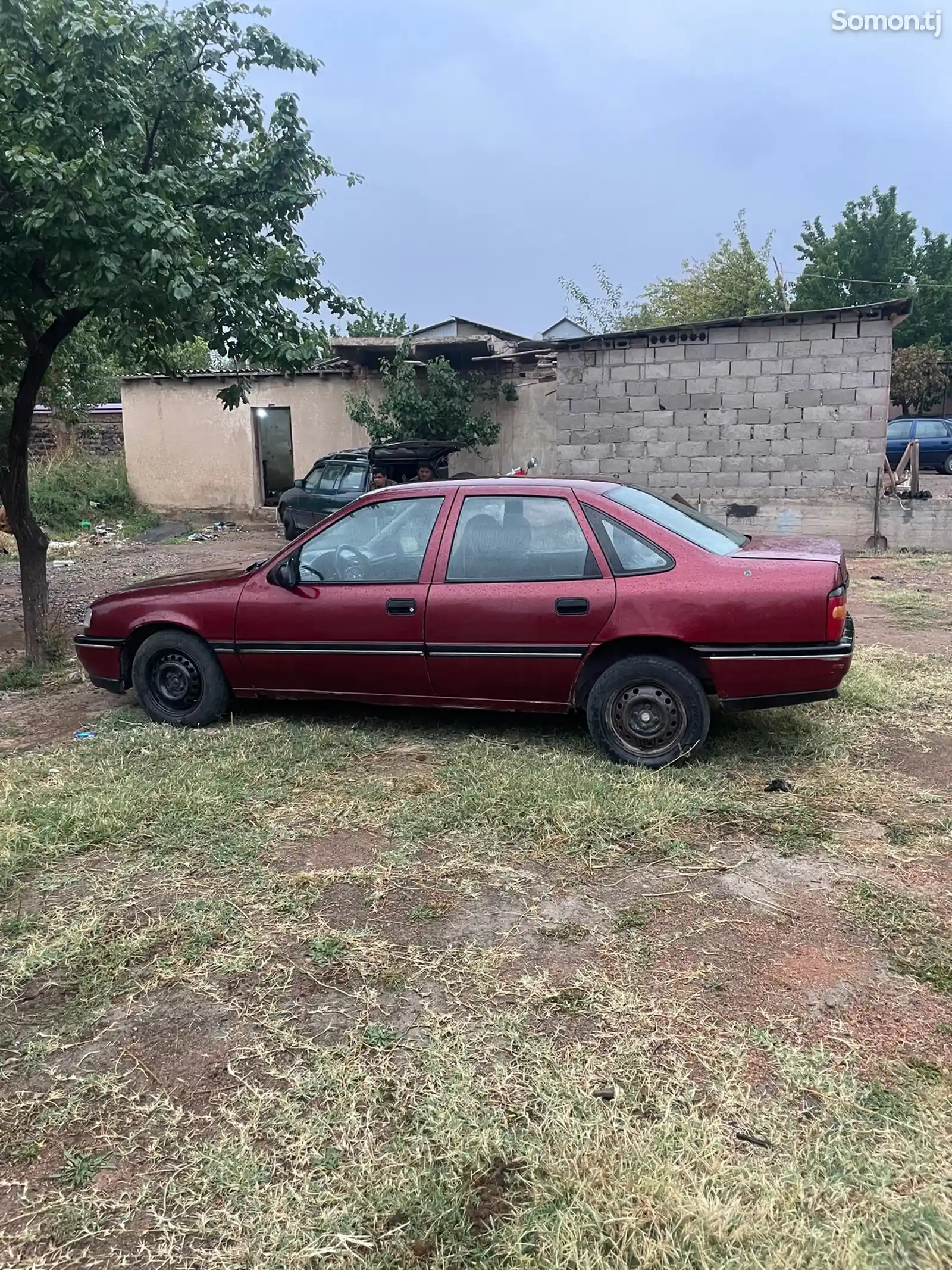 Opel Vectra A, 1992-2