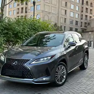 Lexus RX series, 2020