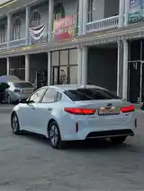 Kia Optima, 2017-7