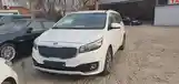 Kia Carnival, 2015-9