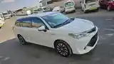 Toyota Fielder, 2017-11