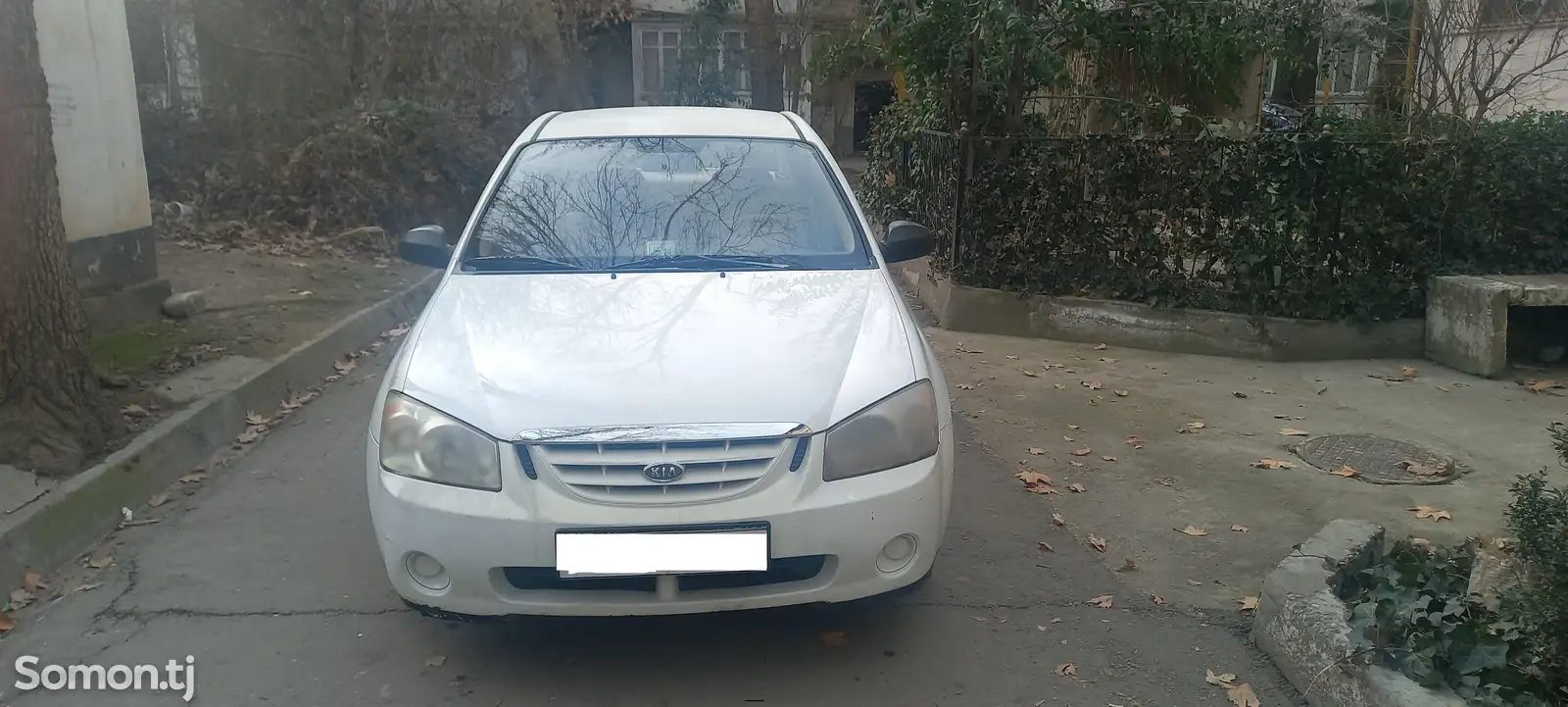 Kia Cerato, 2006-1