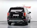 Hyundai Palisade, 2020-4