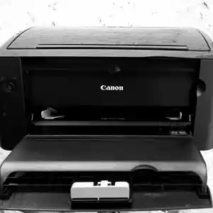 Принтер Canon Lbp3010B