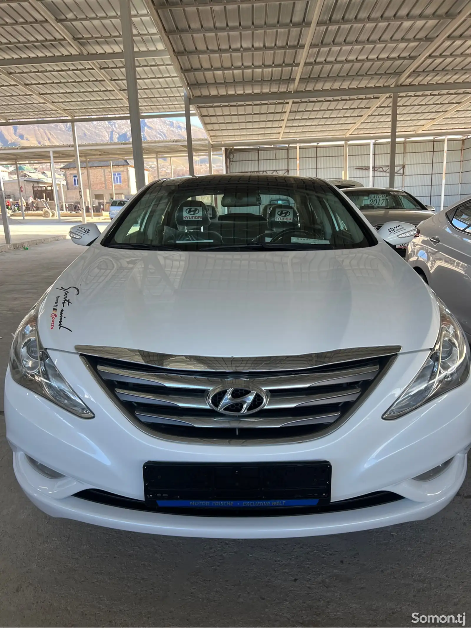 Hyundai Sonata, 2010-1