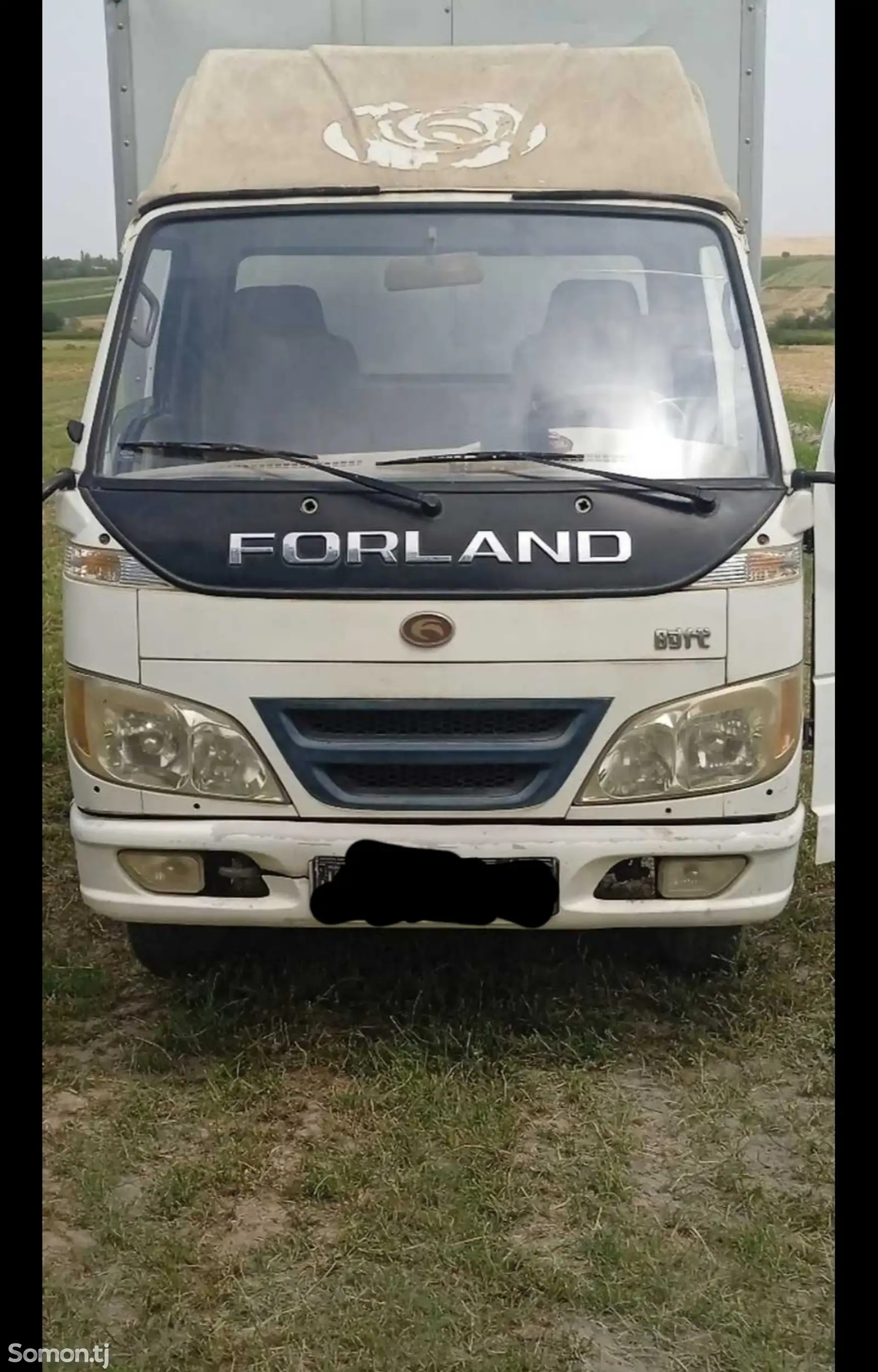 Услуги грузоперевозки на Forland