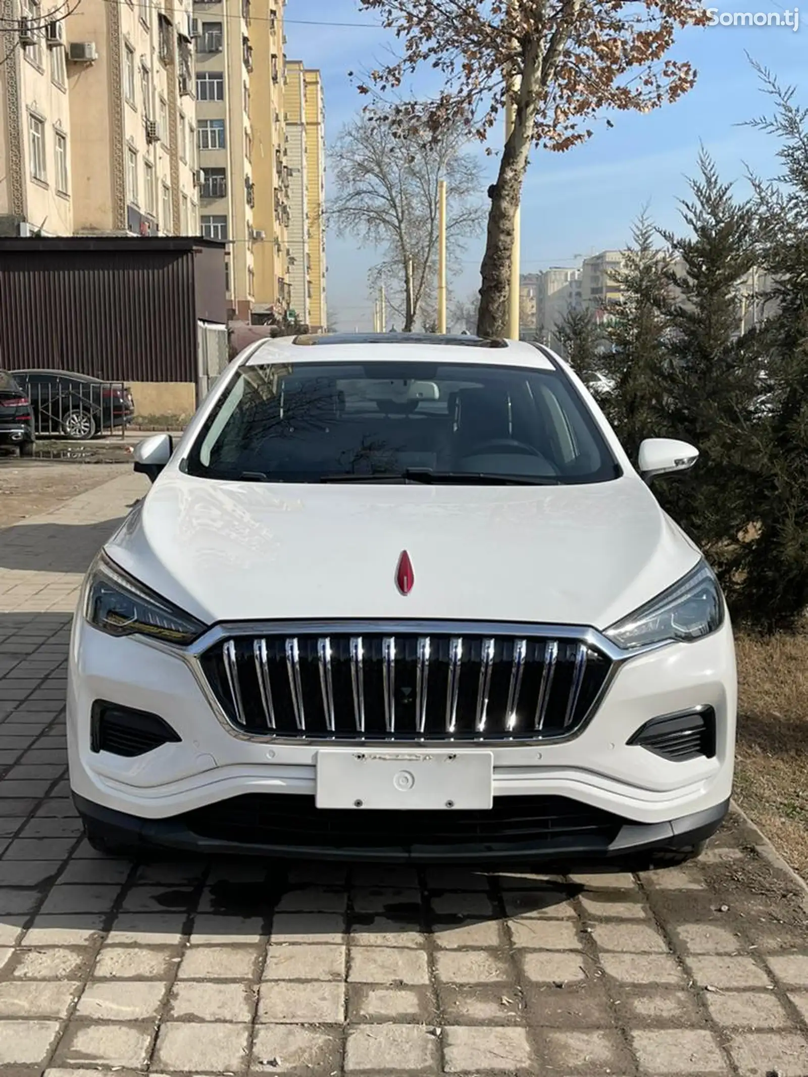 Hongqi HS3, 2020-1