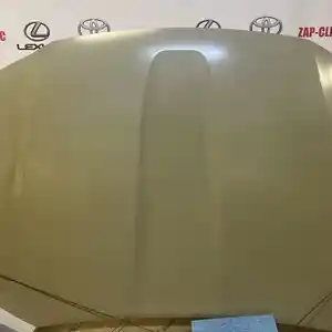 Капот на Toyota Highlander U70 2019-2024