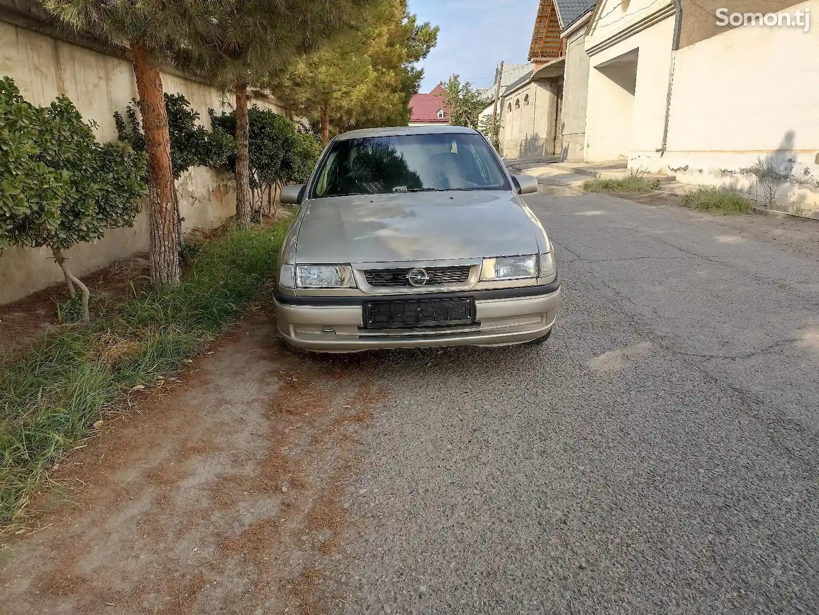 Opel Vectra A, 1994-3