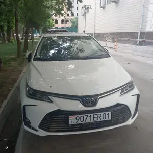 Toyota Corolla, 2023