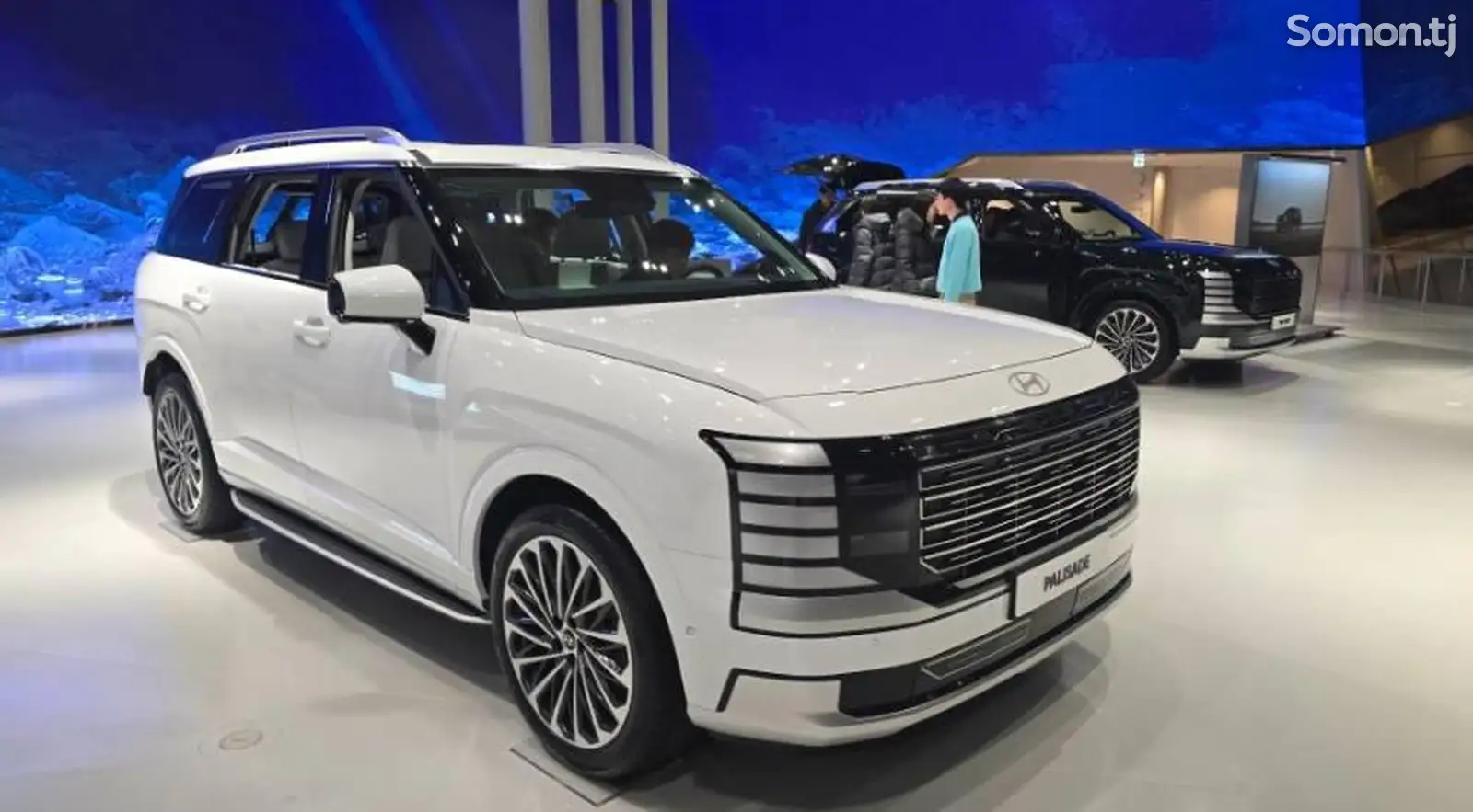 Hyundai Palisade, 2025-1