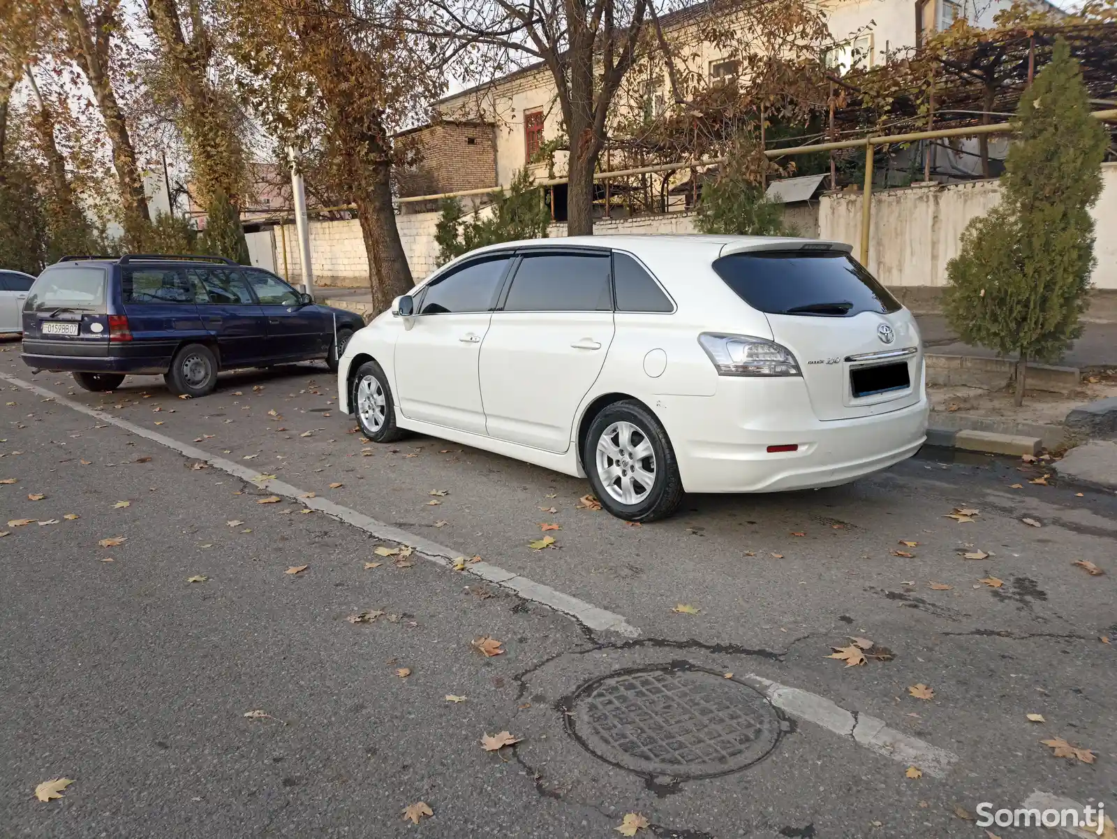 Toyota Mark X ZiO, 2010-4