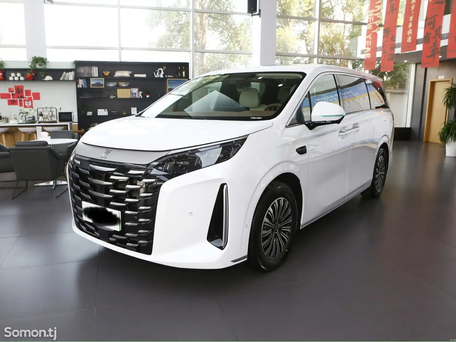 BYD Другие модели, 2024-1