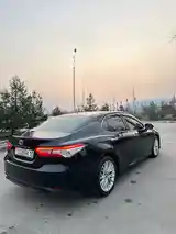 Toyota Camry, 2019-6