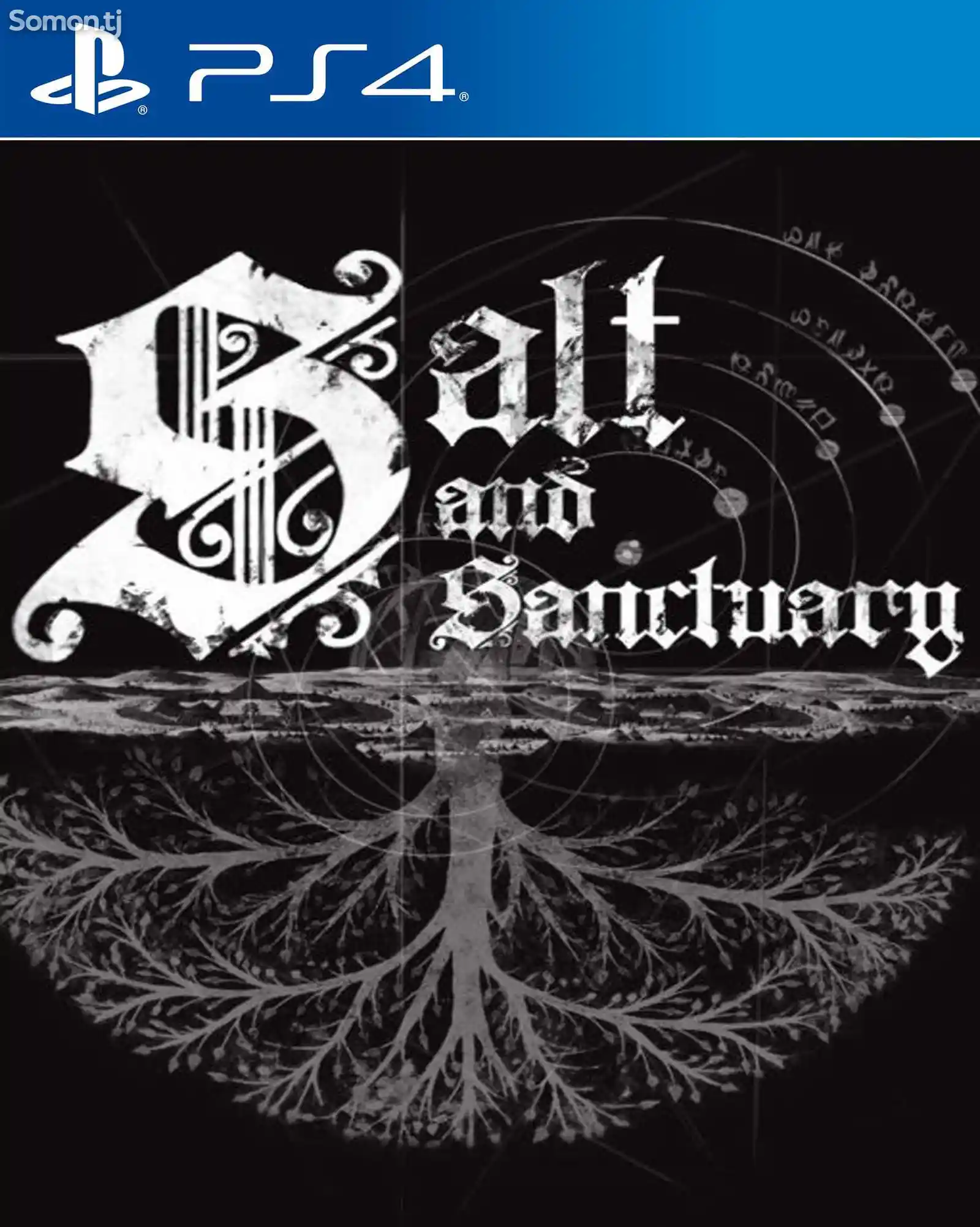 Игра Salt and sancruary для PS-4 / 5.05 / 6.72 / 7.02 / 7.55 / 9.00 /-1