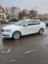 Skoda Octavia, 2020-4