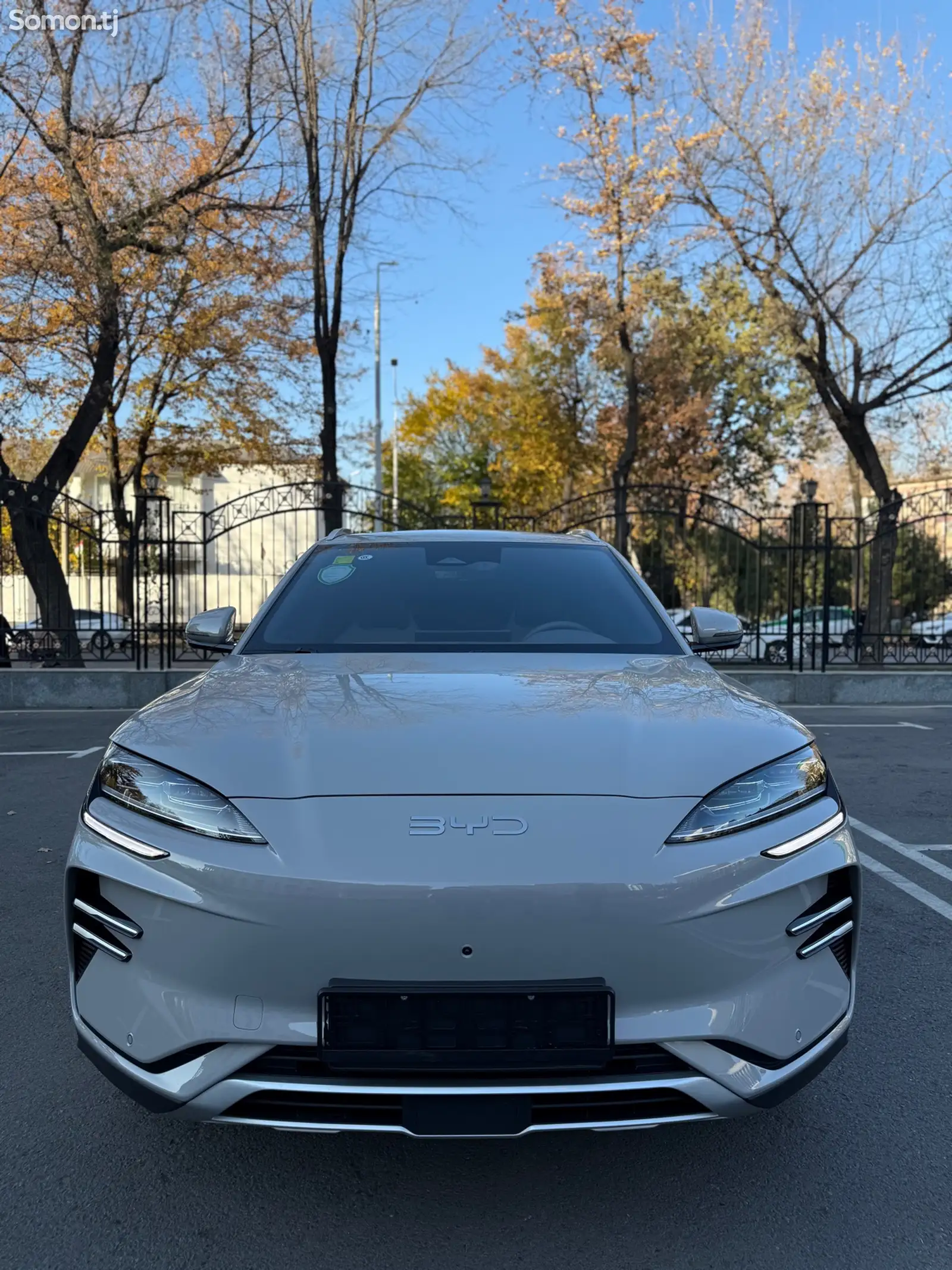 BYD Song Plus Flagship, 2024-1