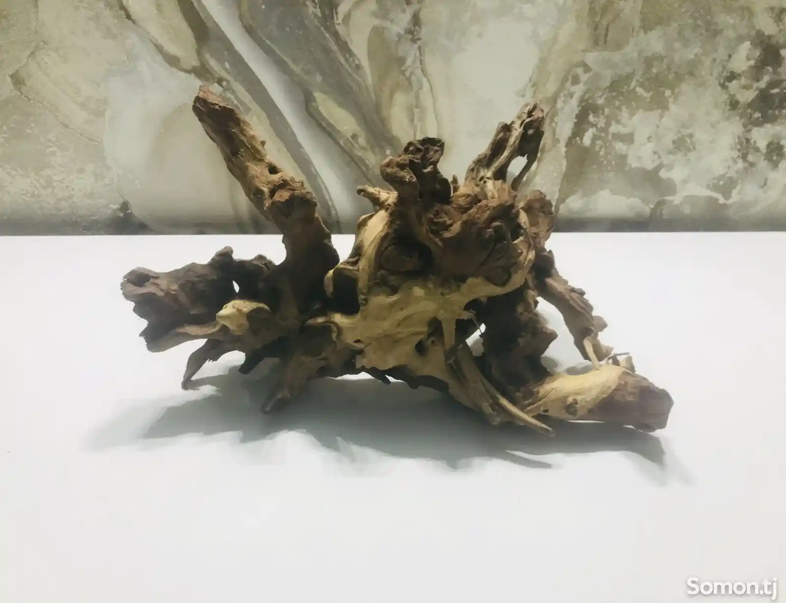 Коряга Coral wood 1,135 kg