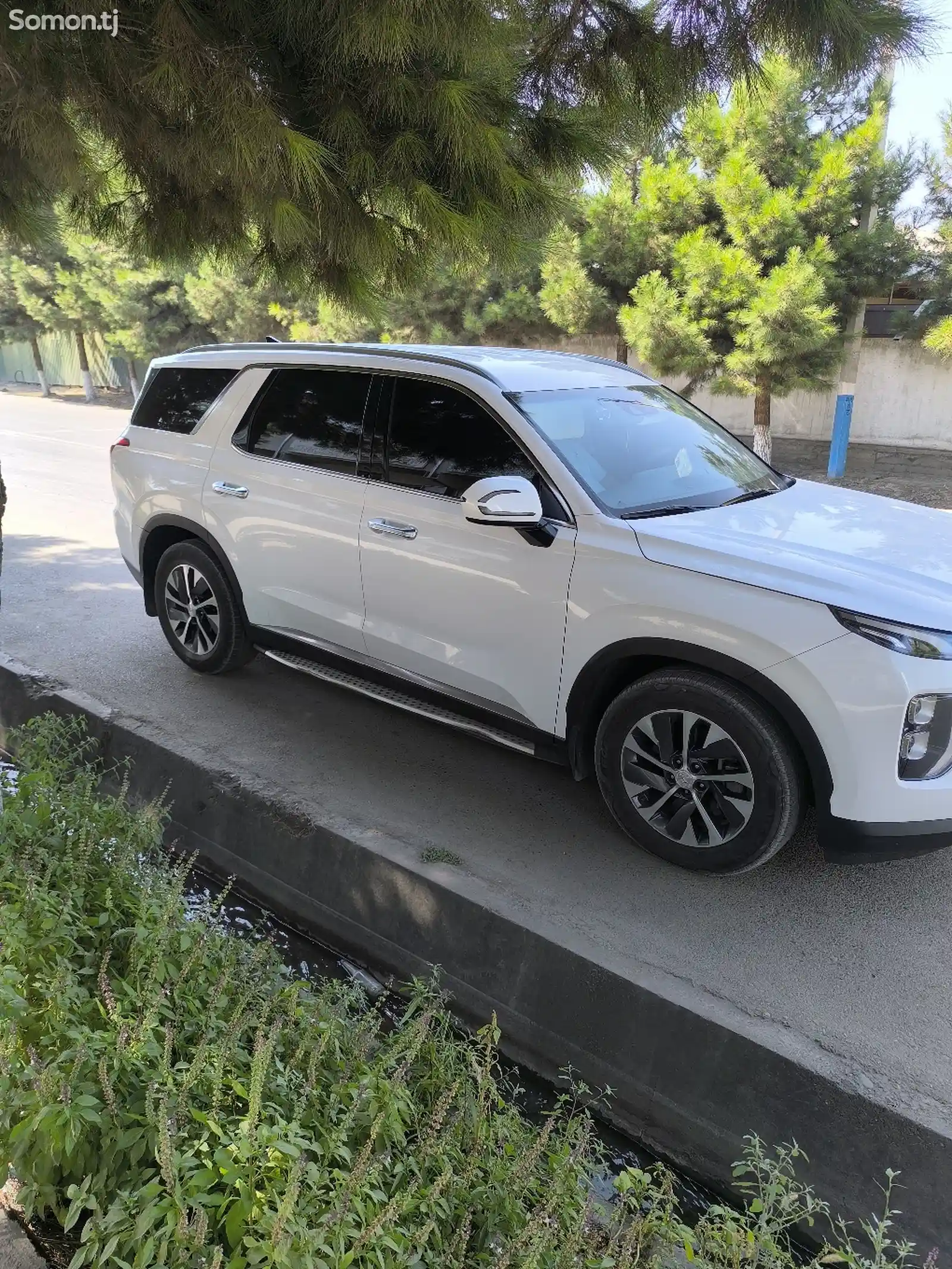 Hyundai Palisade, 2019-7