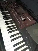 Синтезатор Korg pa 700 Oreintal-3