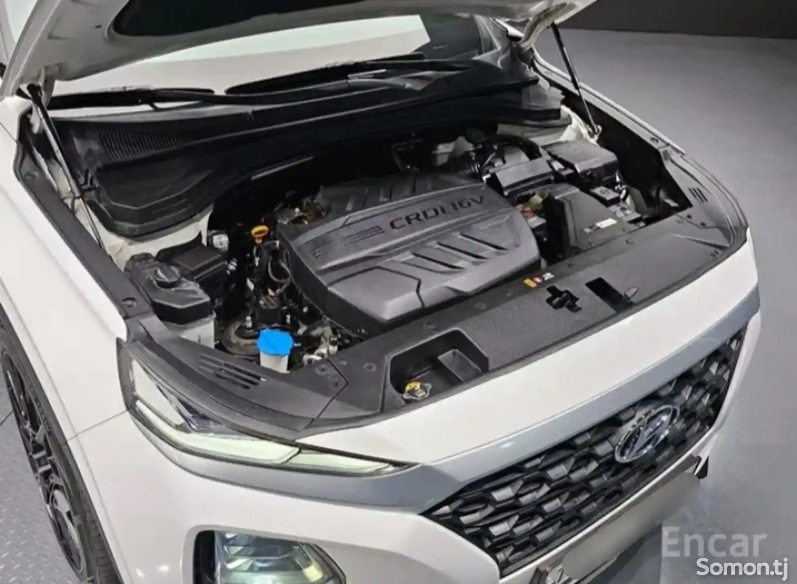 Hyundai Santa Fe, 2019-6