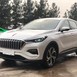 Hongqi E-HS3, 2019