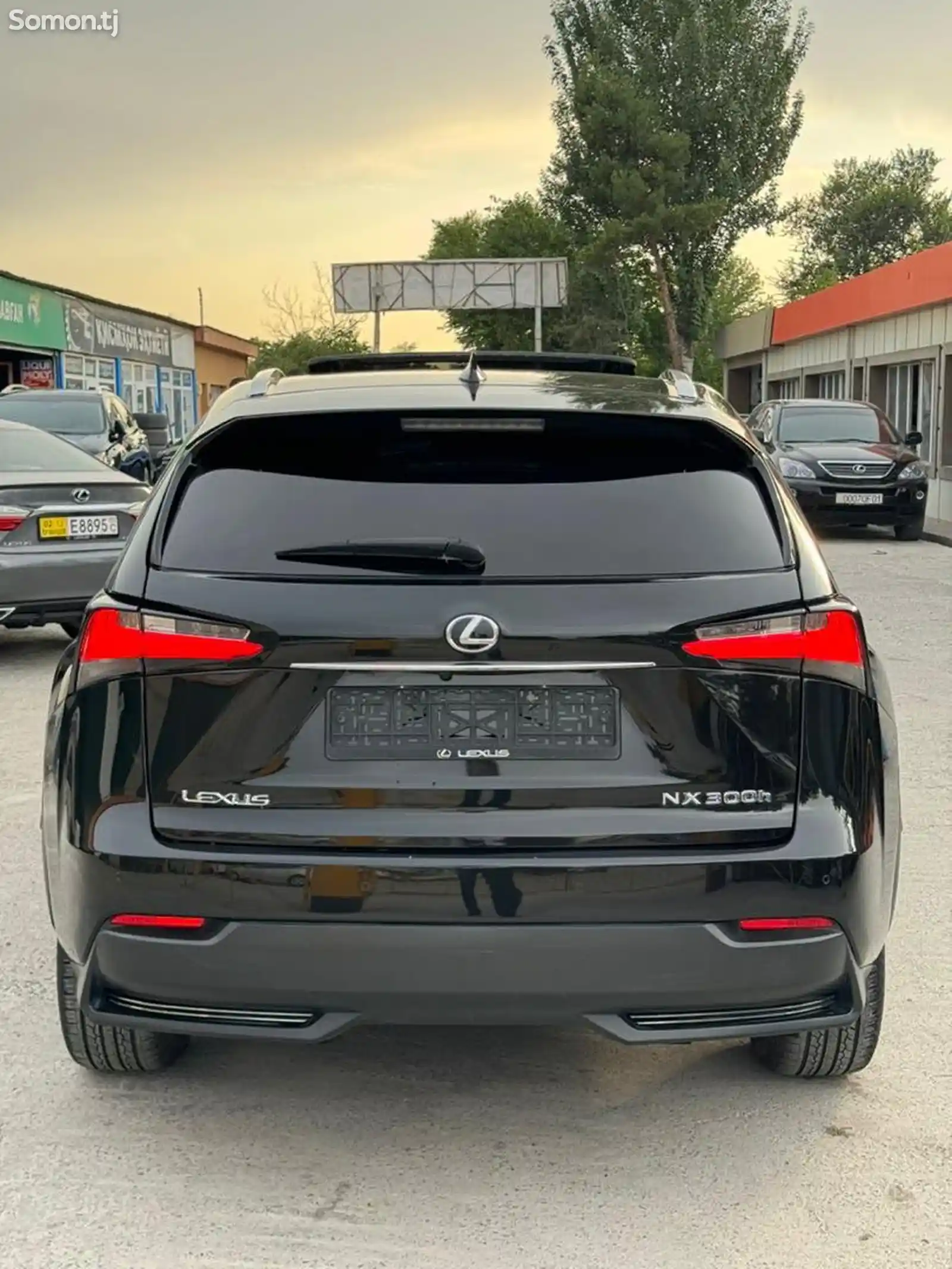 Lexus NX series, 2019-14