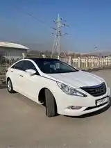 Hyundai Sonata, 2010-3