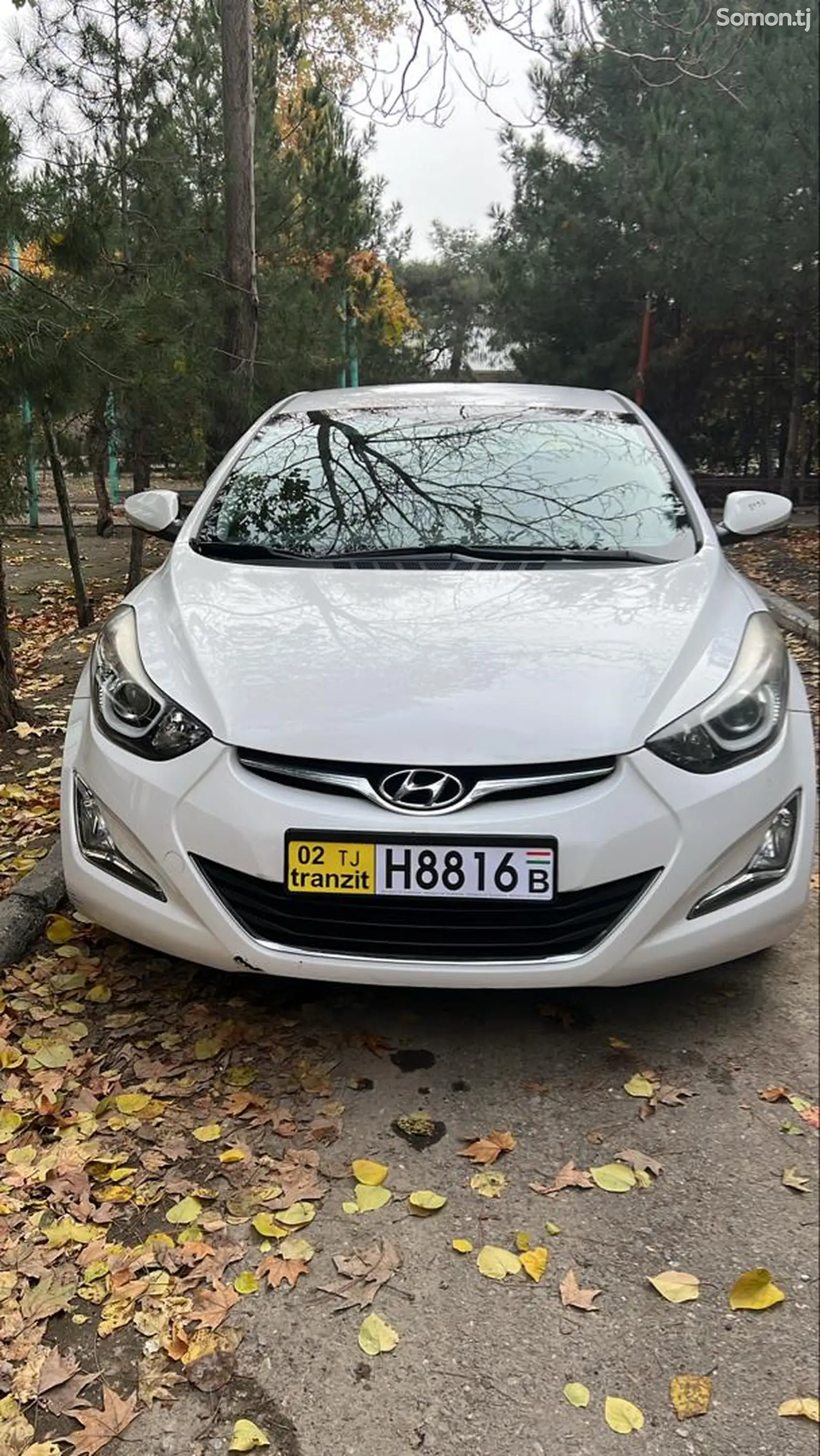 Hyundai Avante, 2014-1