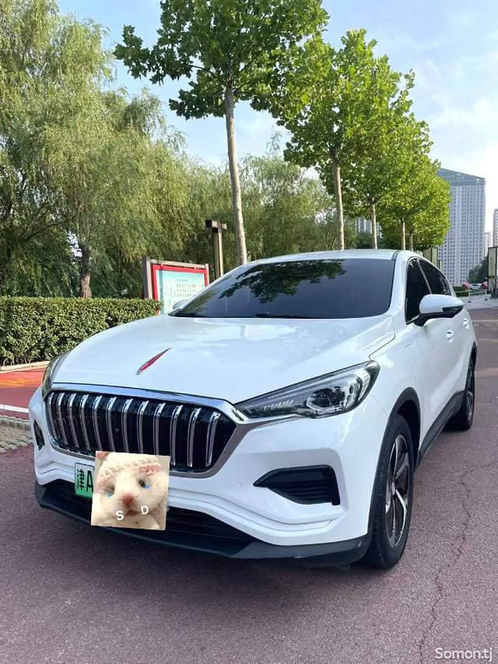 Hongqi E-HS3, 2020-1