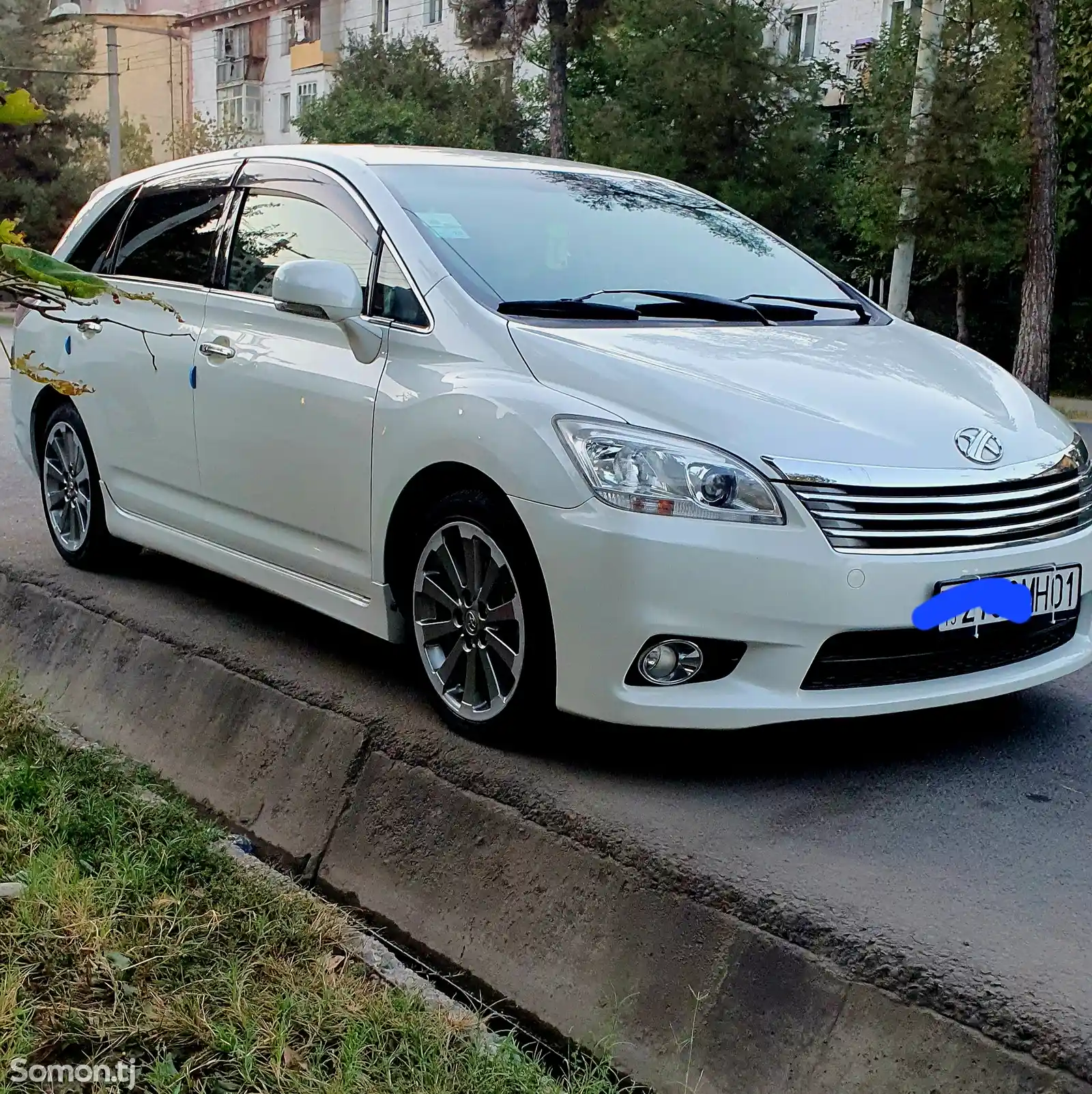 Toyota Mark X ZiO, 2013-1