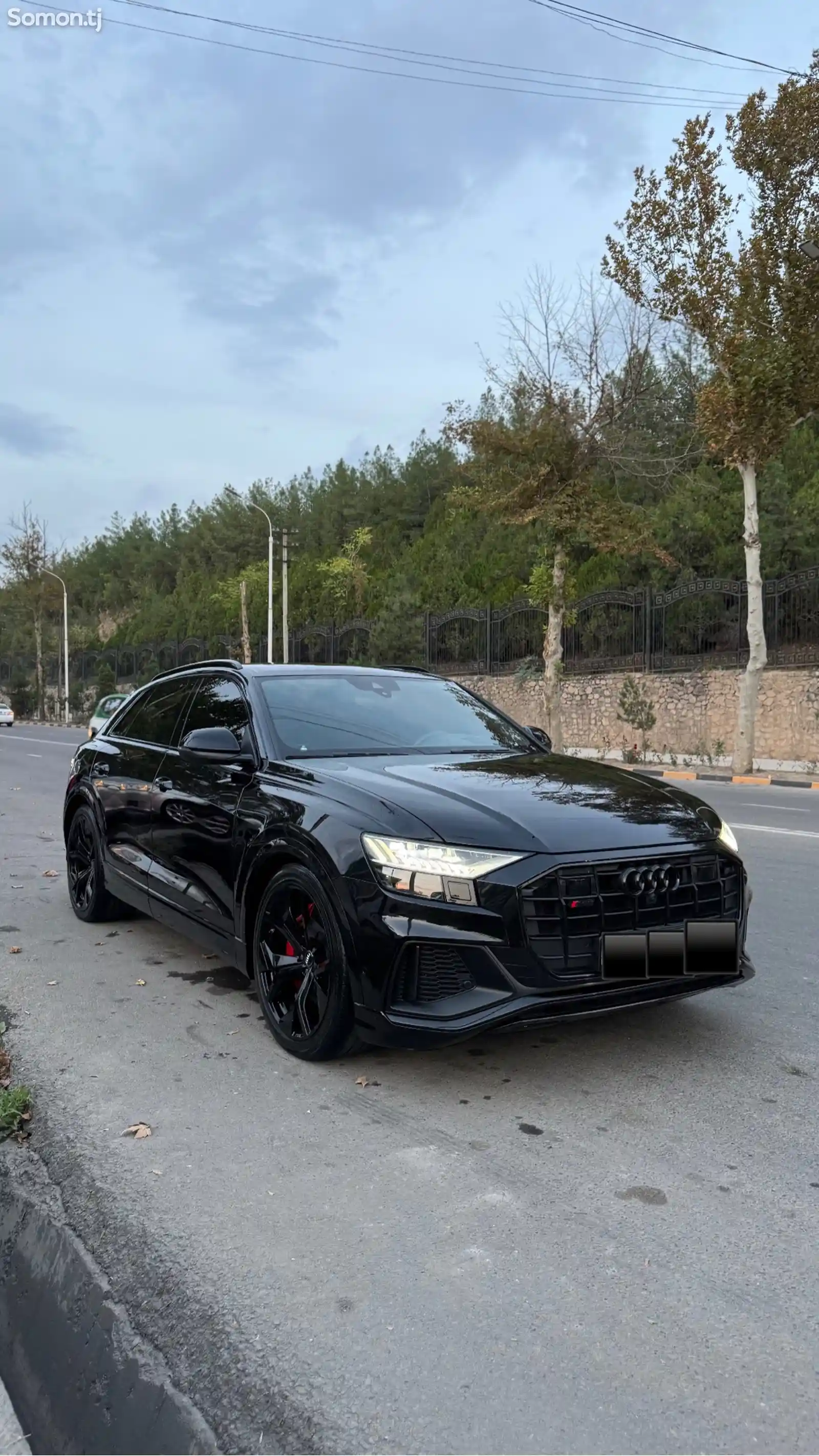 Audi Q8, 2020-1