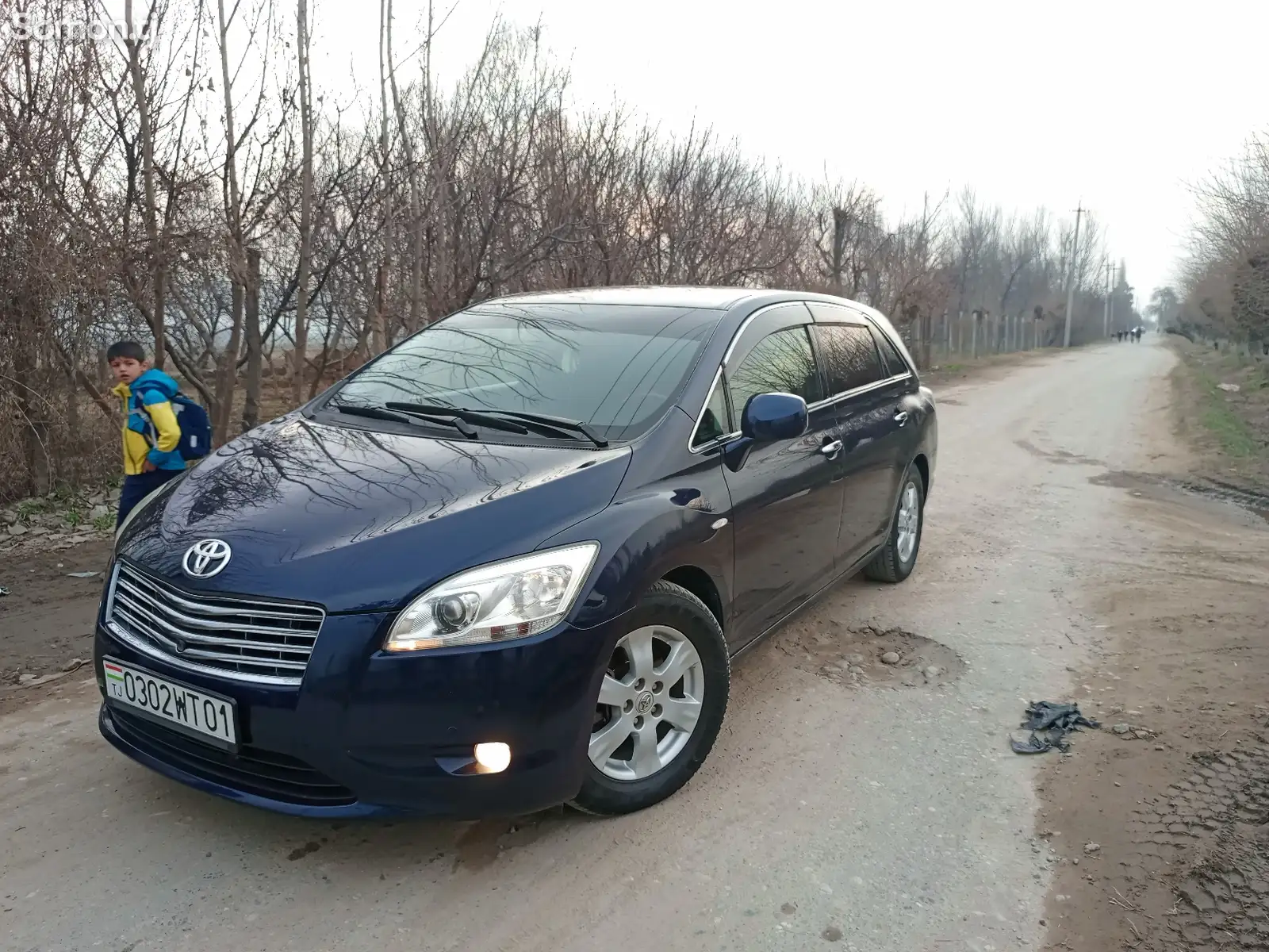 Toyota Mark X ZiO, 2010-1