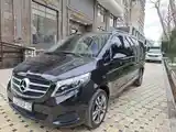 Mercedes-Benz Viano, 2020-3