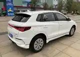 BYD E2, 2020-2