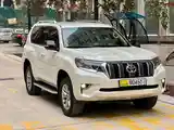 Toyota Land Cruiser Prado, 2010-4