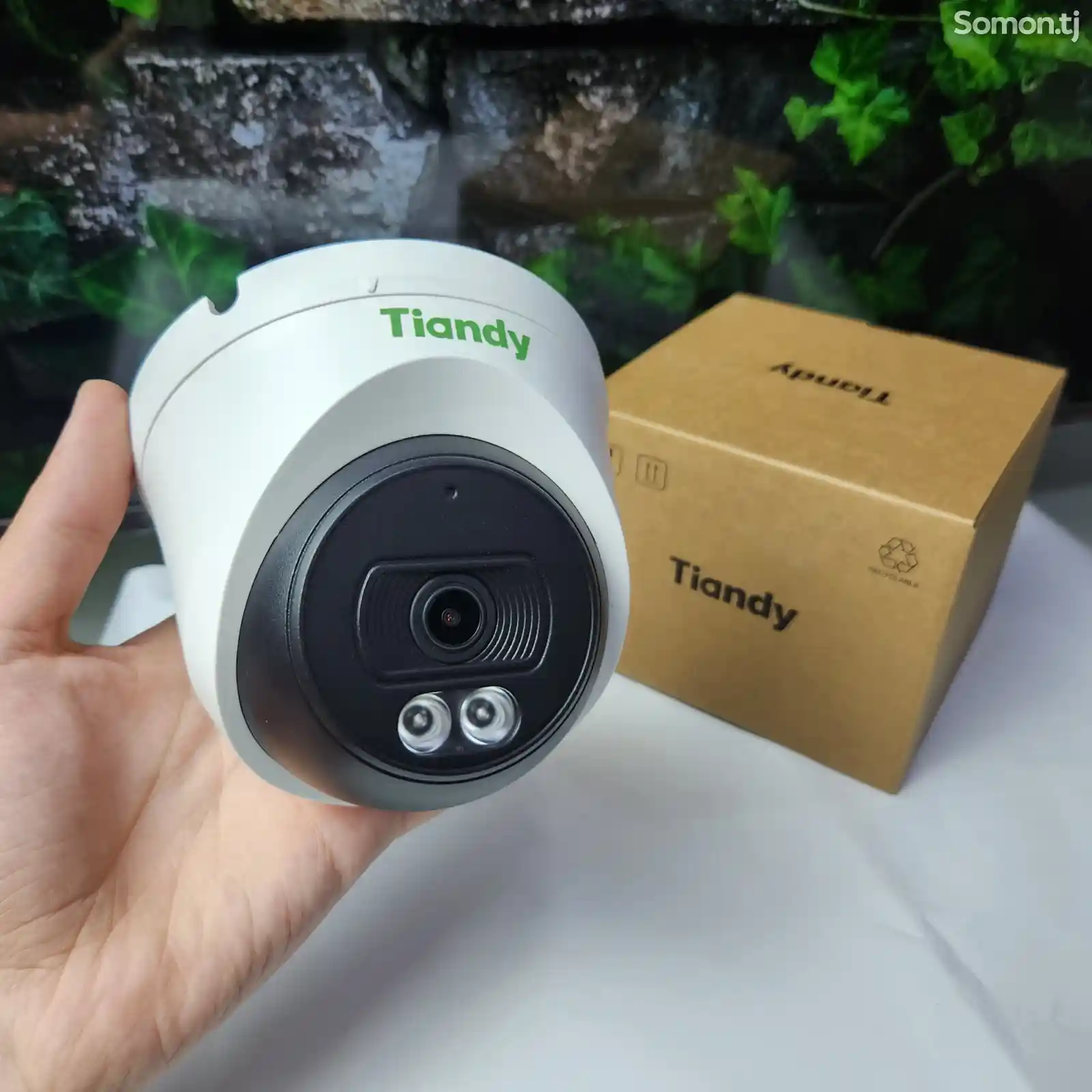 Внутренная IP Камера Tiandy TC-C32XN со звуком-1