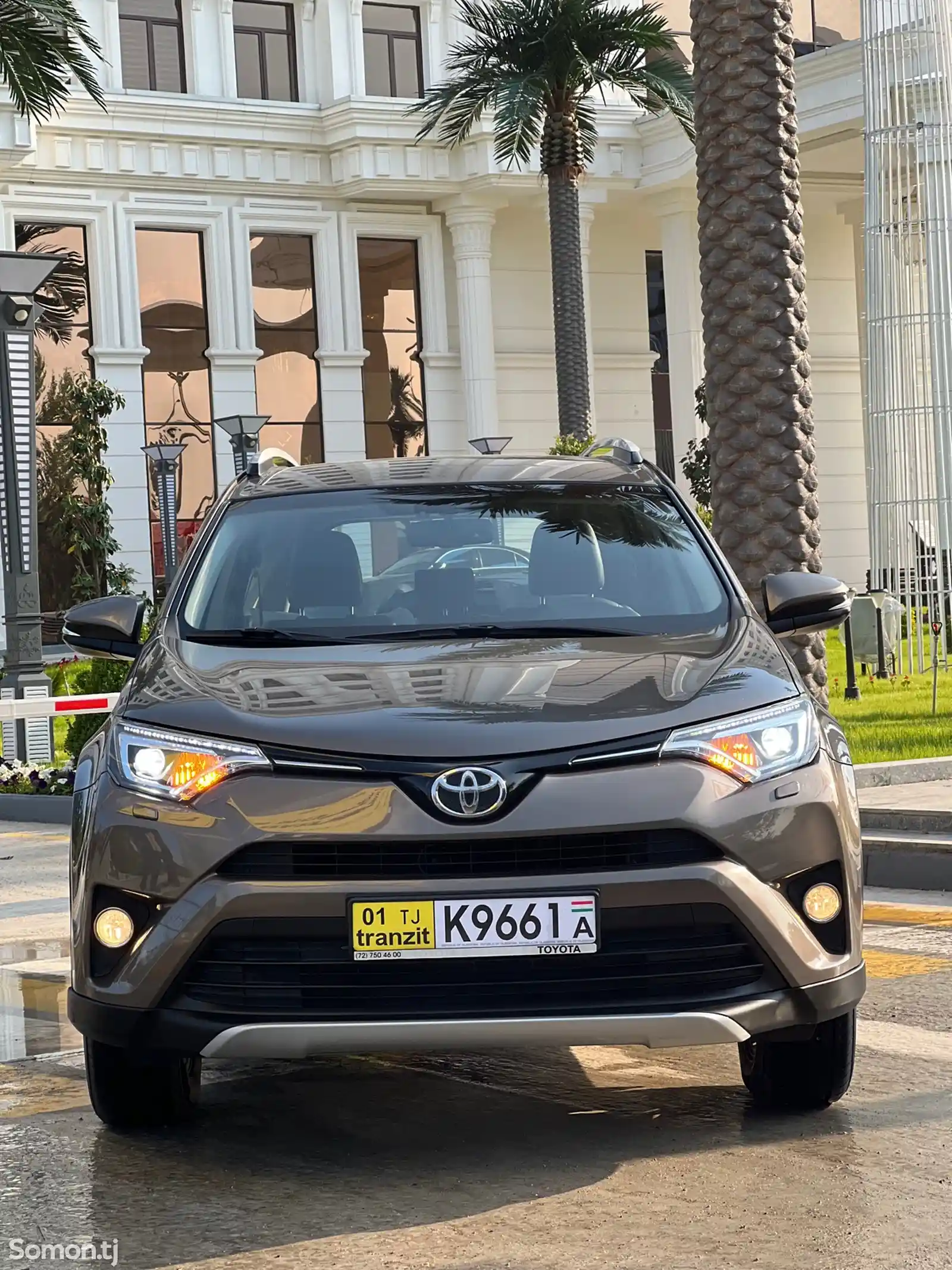 Toyota RAV 4, 2019-1