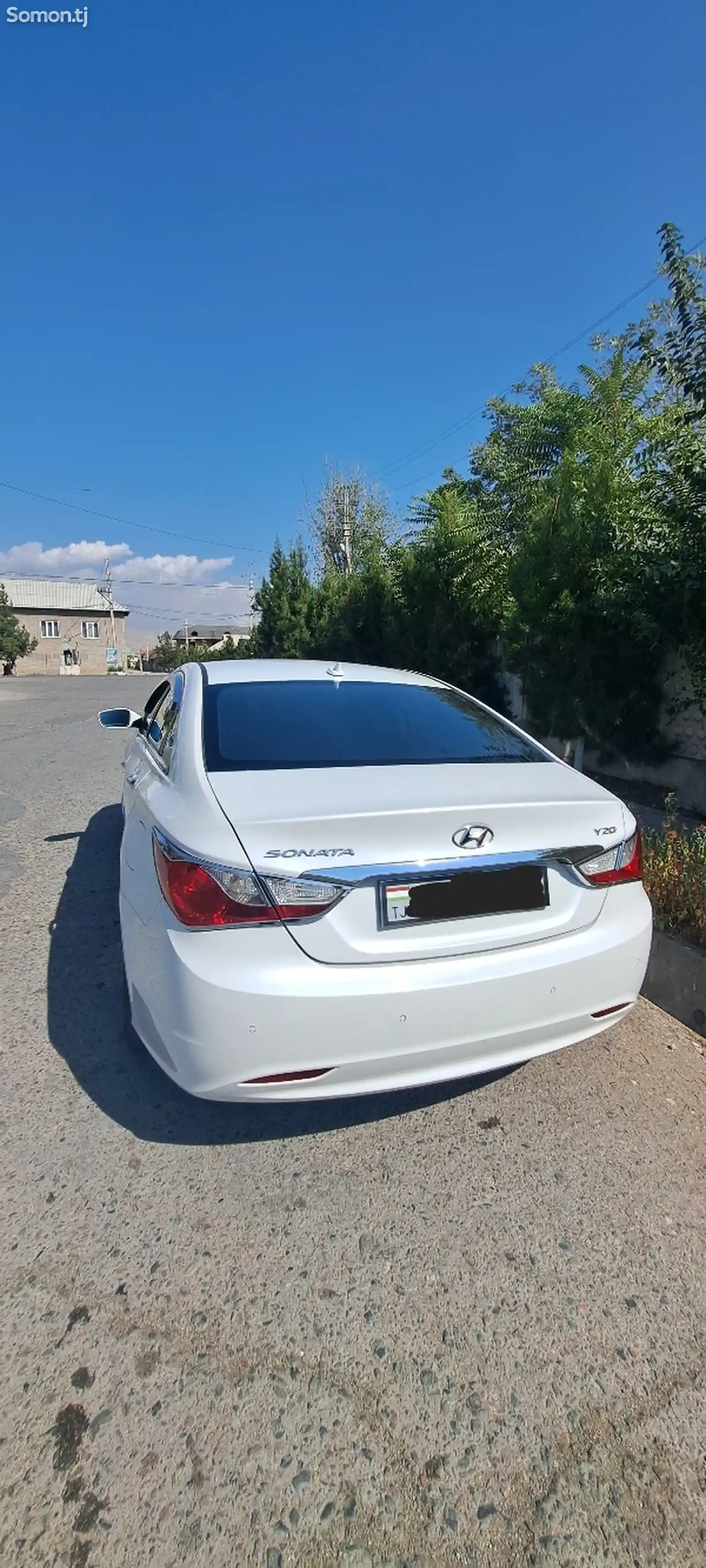 Hyundai Sonata, 2010-7