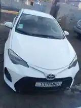 Toyota Corolla, 2019-2