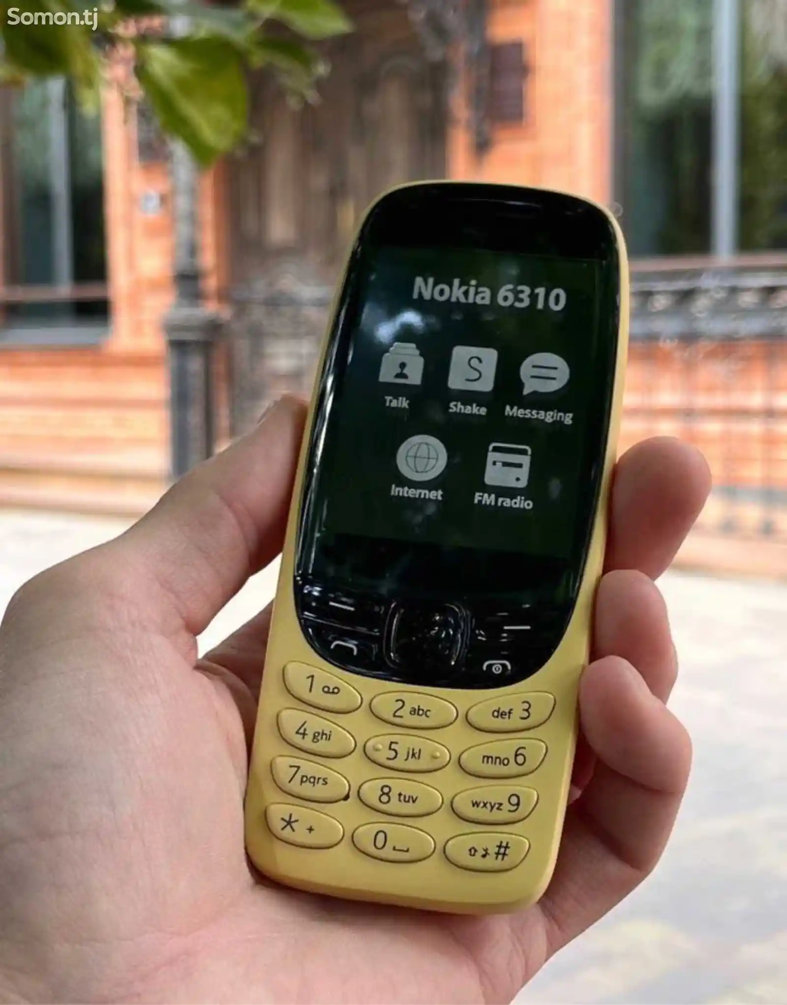 Nokia 6310-1