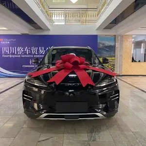 BYD Song Plus Flagship, 2024