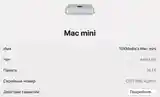 Mac Mini M1 16+256GB-8