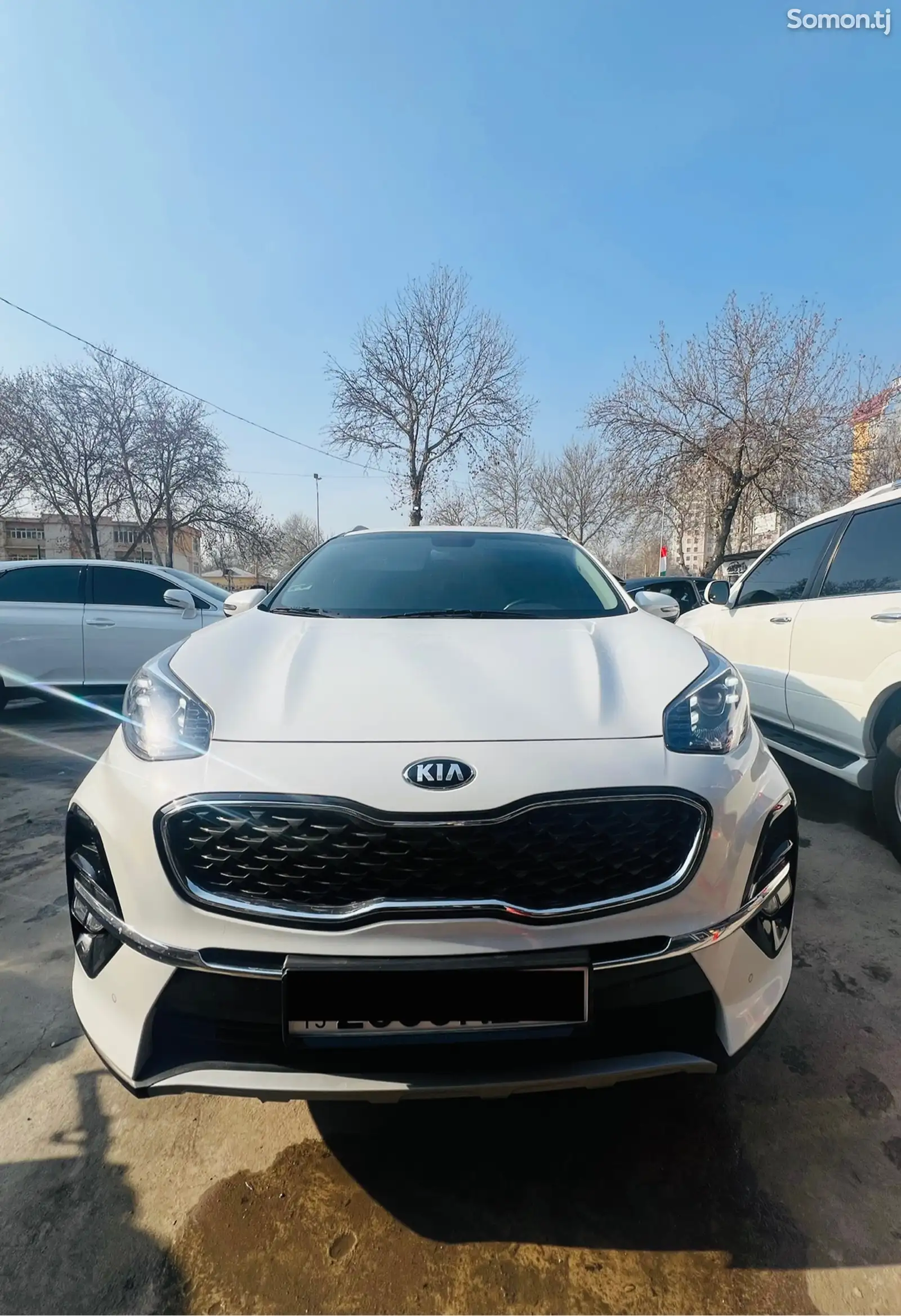 Kia Sportage, 2021-1