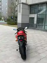 Honda cbr 600-3